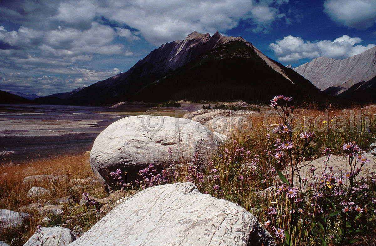 Jasper National Park, Alberta, Canada
 (cod:Canada 06)